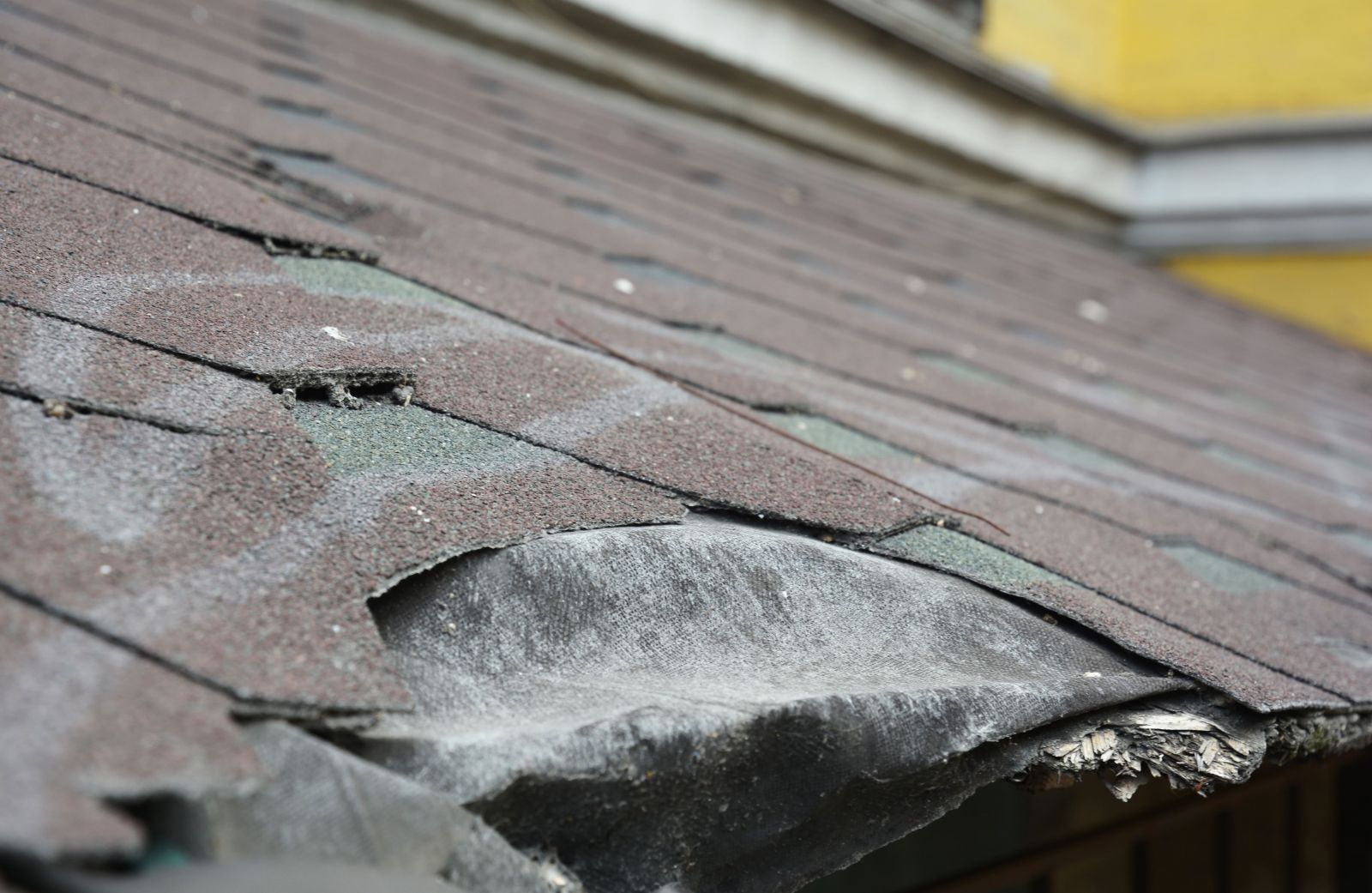 GK Roofing Images